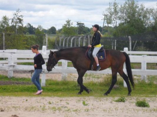 Grafika #78: Biwak klasy piątej