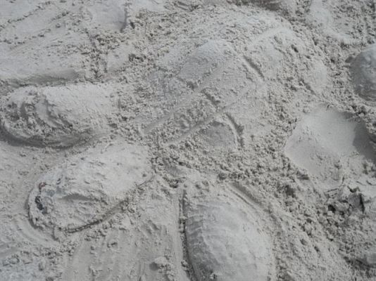 Grafika #94: Biwak klasy piątej