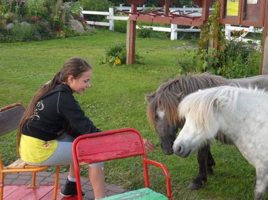 Grafika #99: Biwak klasy piątej