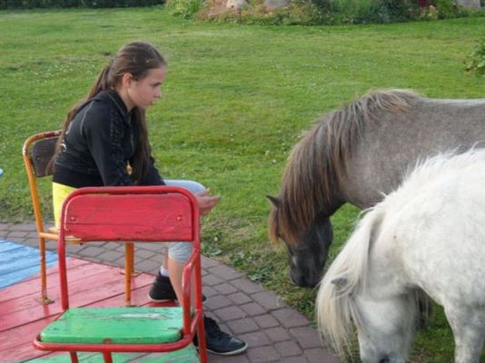 Grafika #100: Biwak klasy piątej