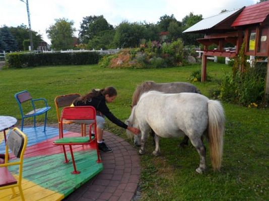 Grafika #101: Biwak klasy piątej