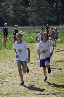 Grafika #72: Gminne Indywidualne Biegi "Cała Polska Biega"