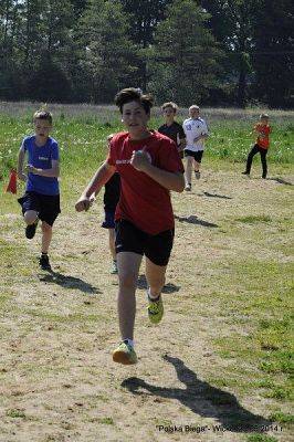 Grafika #76: Gminne Indywidualne Biegi "Cała Polska Biega"