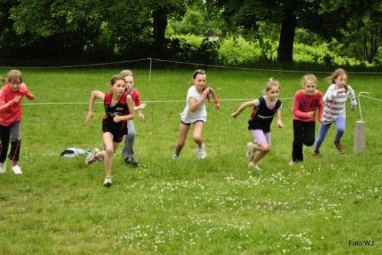 Grafika #17: Gminne Biegi Przełajowe "Krasnali"