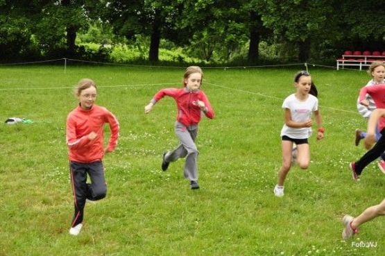 Grafika #18: Gminne Biegi Przełajowe "Krasnali"