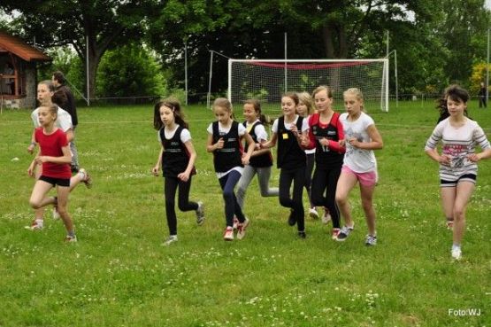 Grafika #32: Gminne Biegi Przełajowe "Krasnali"