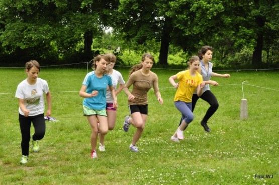 Grafika #37: Gminne Biegi Przełajowe "Krasnali"