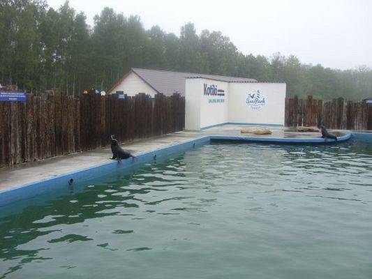 Grafika #3: SEA PARK SARBSK