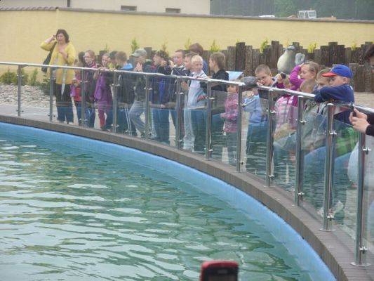 Grafika #5: SEA PARK SARBSK