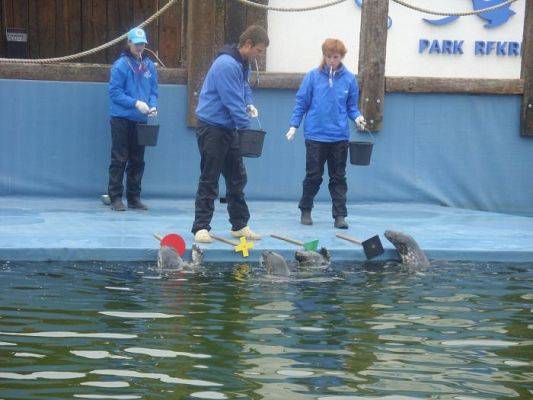 Grafika #9: SEA PARK SARBSK