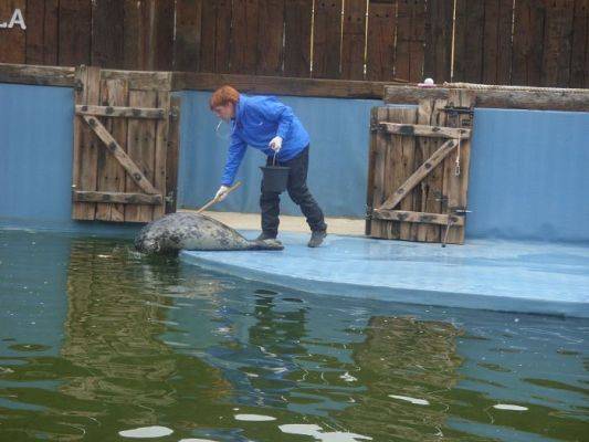 Grafika #10: SEA PARK SARBSK