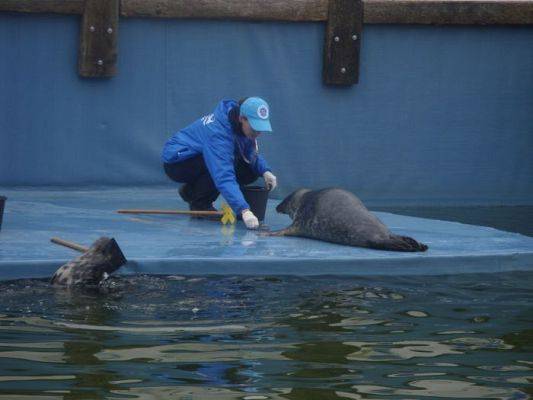 Grafika #12: SEA PARK SARBSK