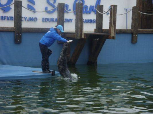 Grafika #13: SEA PARK SARBSK