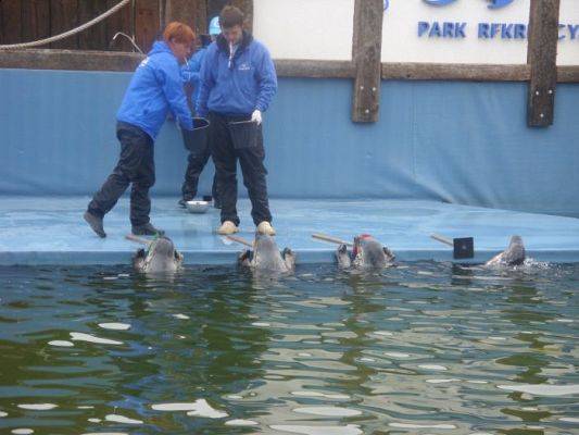 Grafika #14: SEA PARK SARBSK