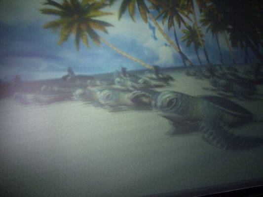 Grafika #15: SEA PARK SARBSK