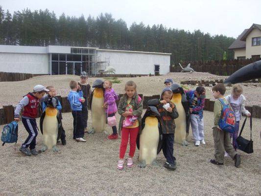 Grafika #23: SEA PARK SARBSK