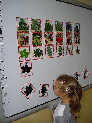 Grafika #1: Światowy Dzień Drzewa- Klasa 2