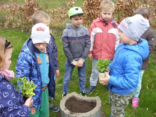 Grafika #10: Zielony Dzień w klasie pierwszej