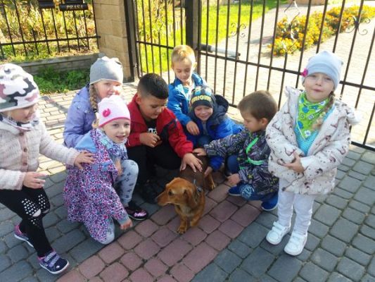 Grafika #8: Pierwsze tygodnie w oddziale przedszkolnym