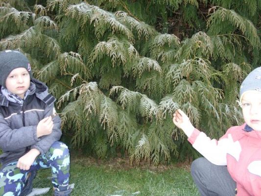 Grafika #1: Zimowe lekcje w kl. II