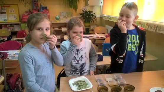 Grafika #7: Rozmaitości w klasie trzeciej