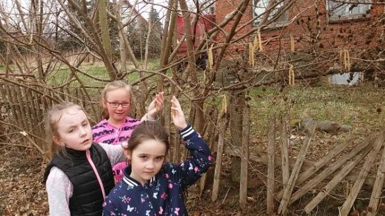 Grafika #4: Tropiciele przyrody - klasa 1