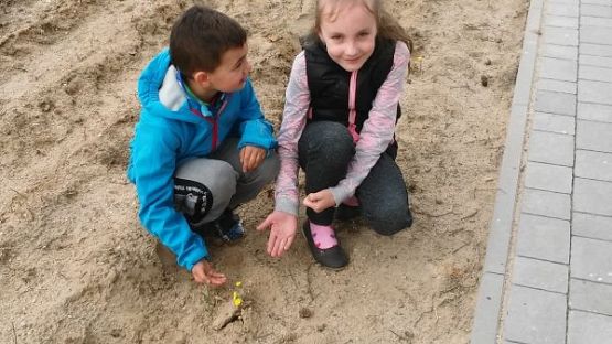 Grafika #1: Tropiciele przyrody - klasa 1