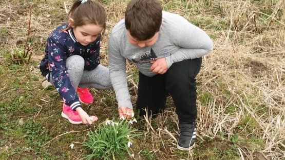 Grafika #2: Tropiciele przyrody - klasa 1