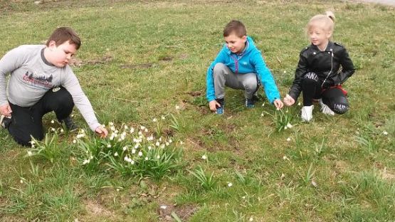 Grafika #3: Tropiciele przyrody - klasa 1