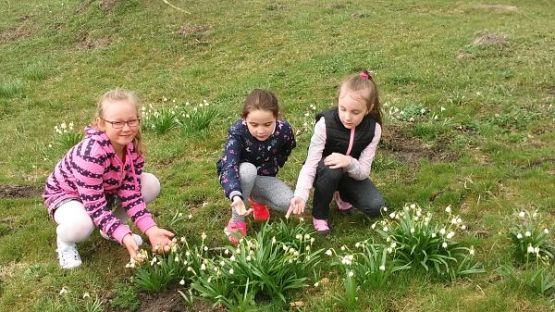 Grafika #0: Tropiciele przyrody - klasa 1