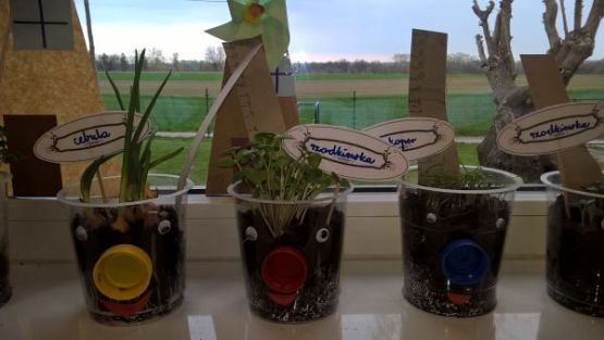 Grafika #4: Zajęcia plastyczne w klasie trzeciej