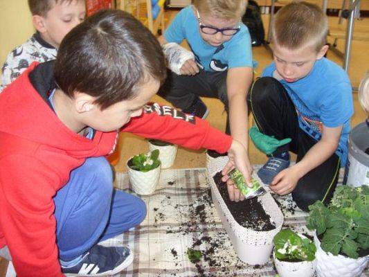 Grafika #1: Wśród roślin - klasa II