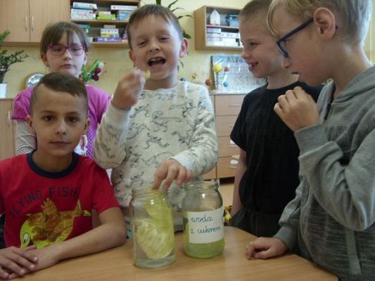 Grafika #7: Wśród roślin - klasa II