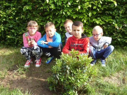 Grafika #1: Dzień Dobrych Uczynków