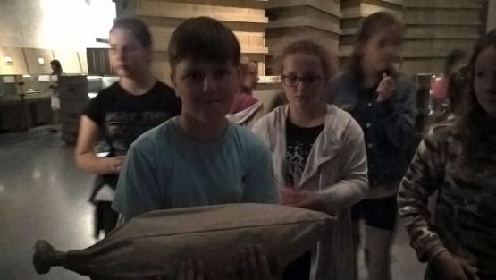 Grafika #2: Wycieczka do Muzeum II Wojny Światowej i na Westerplatte