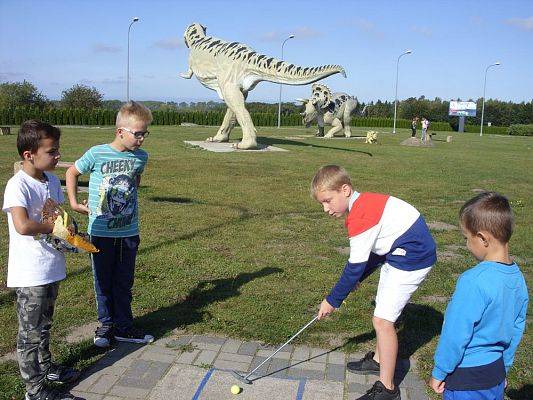 Grafika #4: Wycieczka do Gniewina