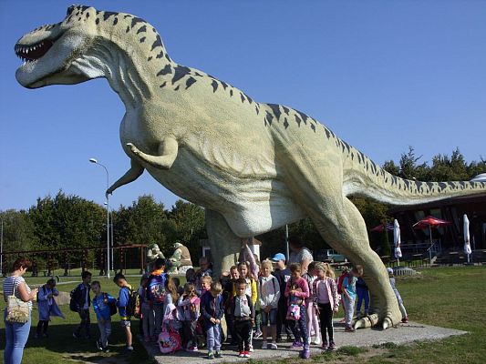 Grafika #0: Wycieczka do Gniewina