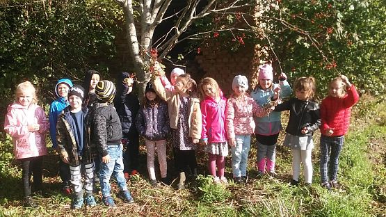 Grafika #5: Jesienne obserwacje