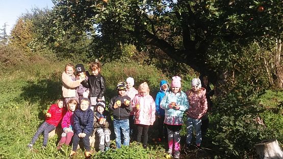 Grafika #1: Jesienne obserwacje