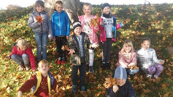 Grafika #0: Jesienne obserwacje