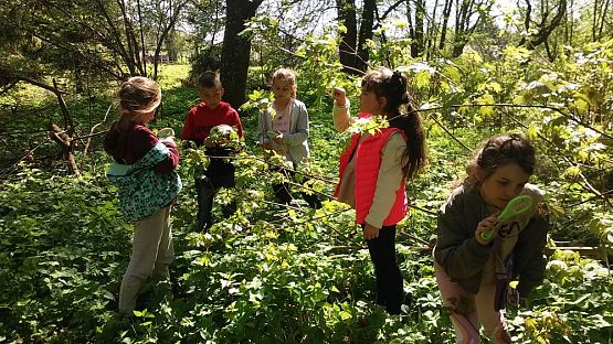 Grafika #4: Wiosenne obserwacje