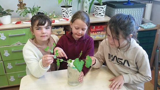 Grafika #2: Wiosenne obserwacje