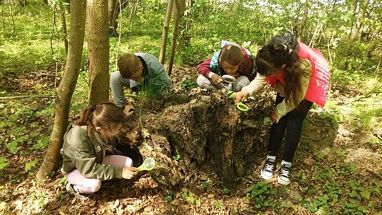 Grafika #3: Wiosenne obserwacje