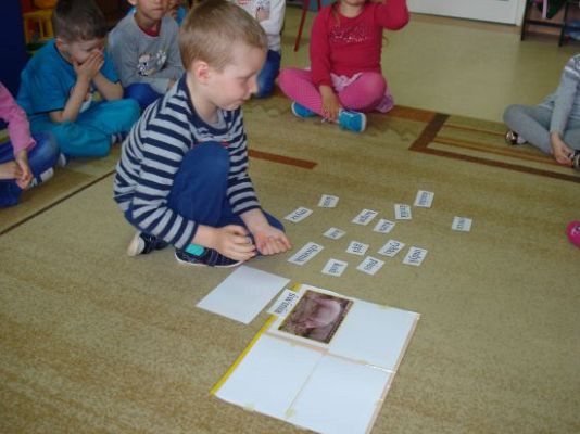 Grafika #21: Nowinki z wiejskiego podwórka