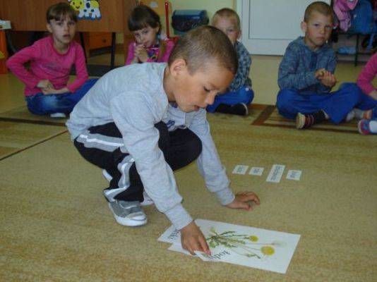 Grafika #31: Wiosna na łące