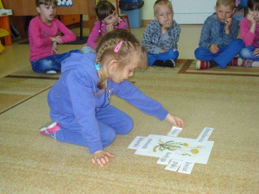 Grafika #33: Wiosna na łące