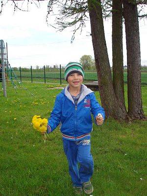 Grafika #36: Wiosna na łące