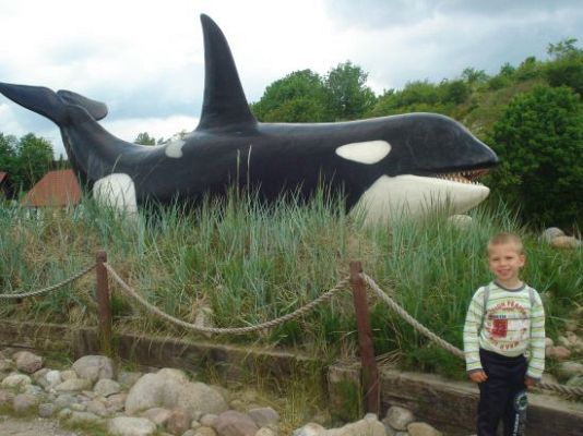 Grafika #43: Dzieci z całego świata