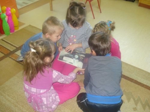 Grafika #64: Tutaj rosły paprocie