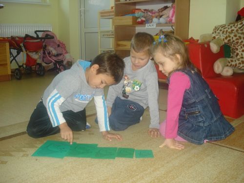 Grafika #28: Tutaj rosły paprocie